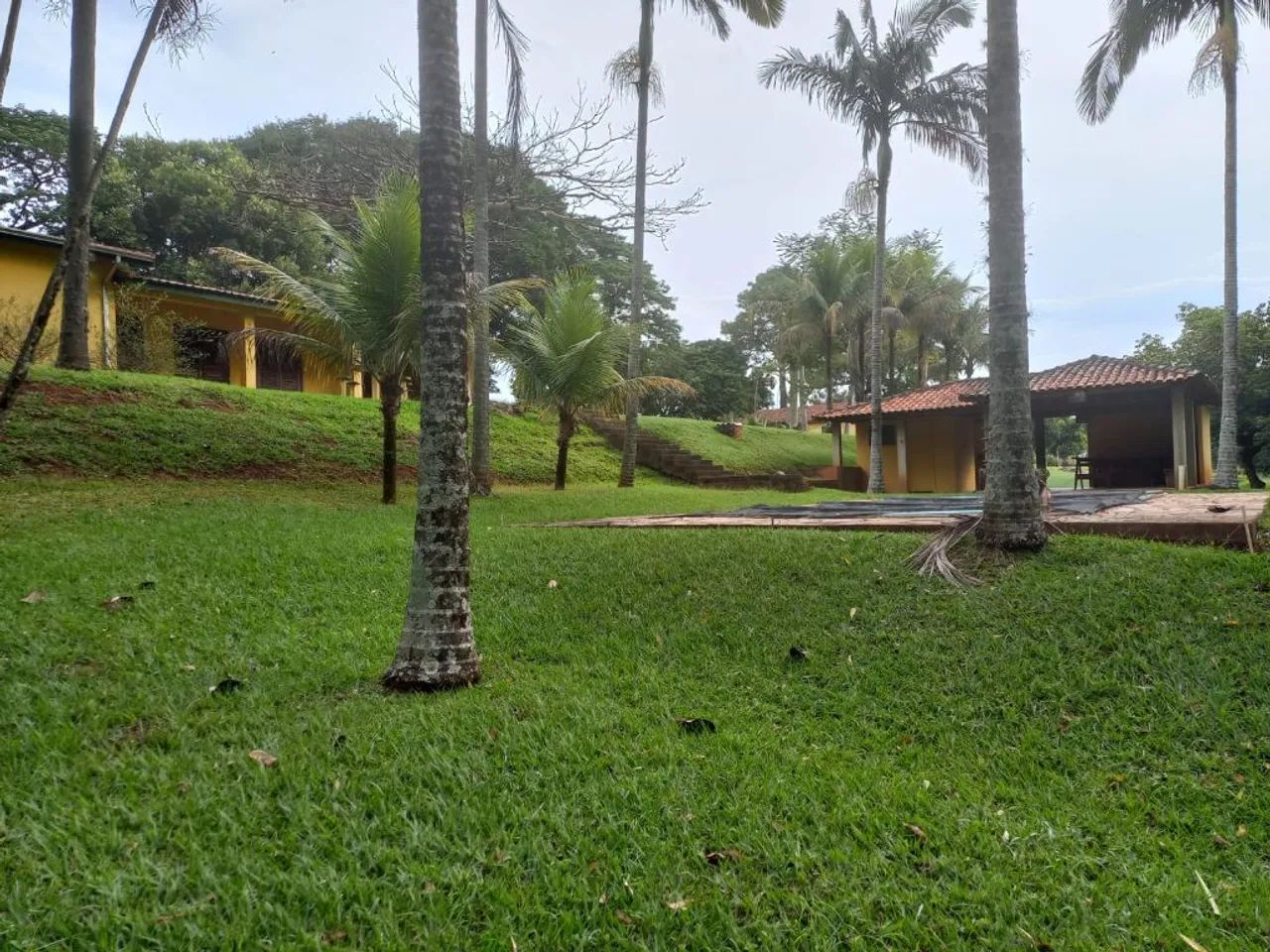 Sítio à venda em Limeira - SP. - Foto 3