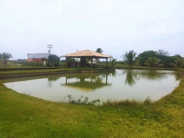 Fazenda  - Foto 2
