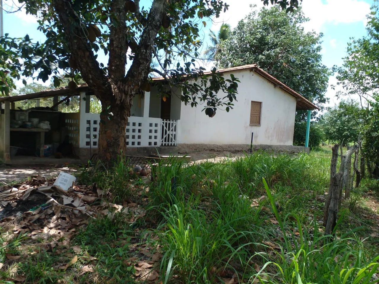 Chácara  - Foto 2