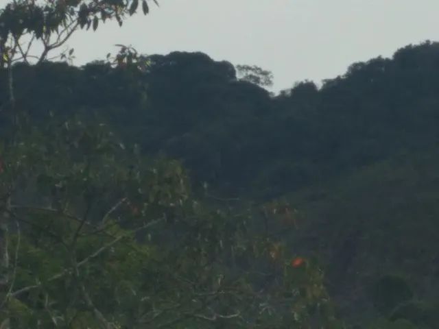 Ótimo sítio na divisa de Minas com Rio de Janeiro  - Foto 5
