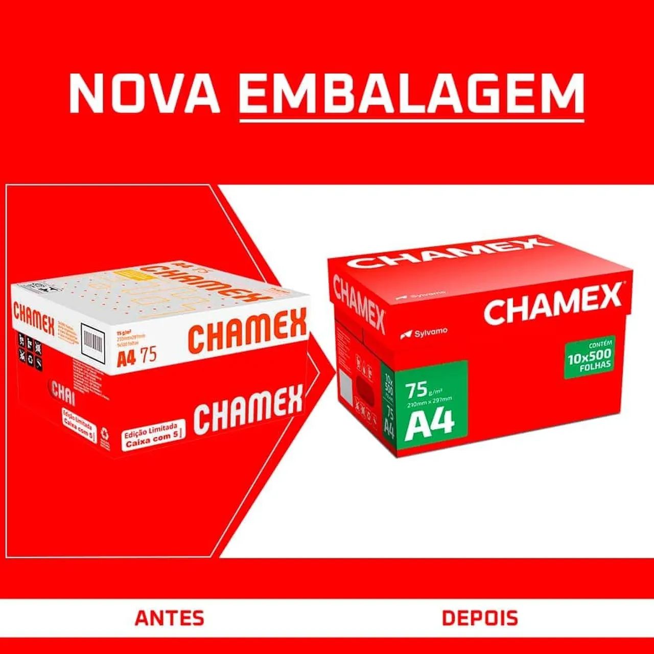 Caixa CHAMEX com 10 pacotes - Foto 2