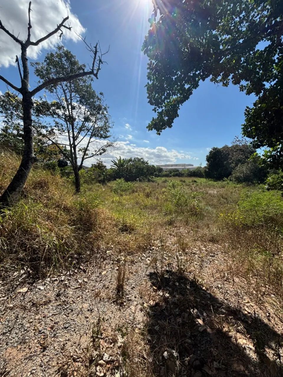 Terreno Xuri, com casa - 2.500m2 - Foto 4
