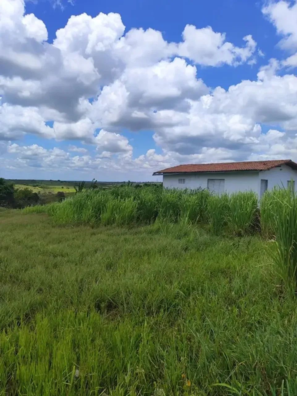 Excelente Fazenda com 38 hectares em monte alegre - Foto 3