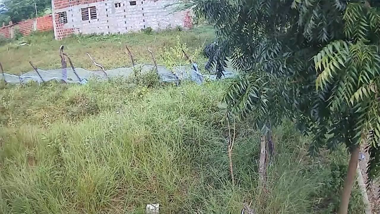 Terreno 9,5x40 em Rua Asfaltada - Ótima Oportunidade - Foto 3