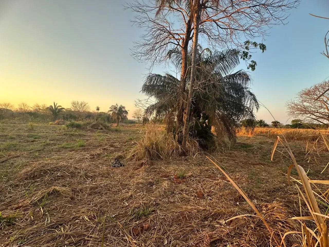 1.58 HECTARE ou 15.900 m2 PONTES E LACERDA - Foto 3