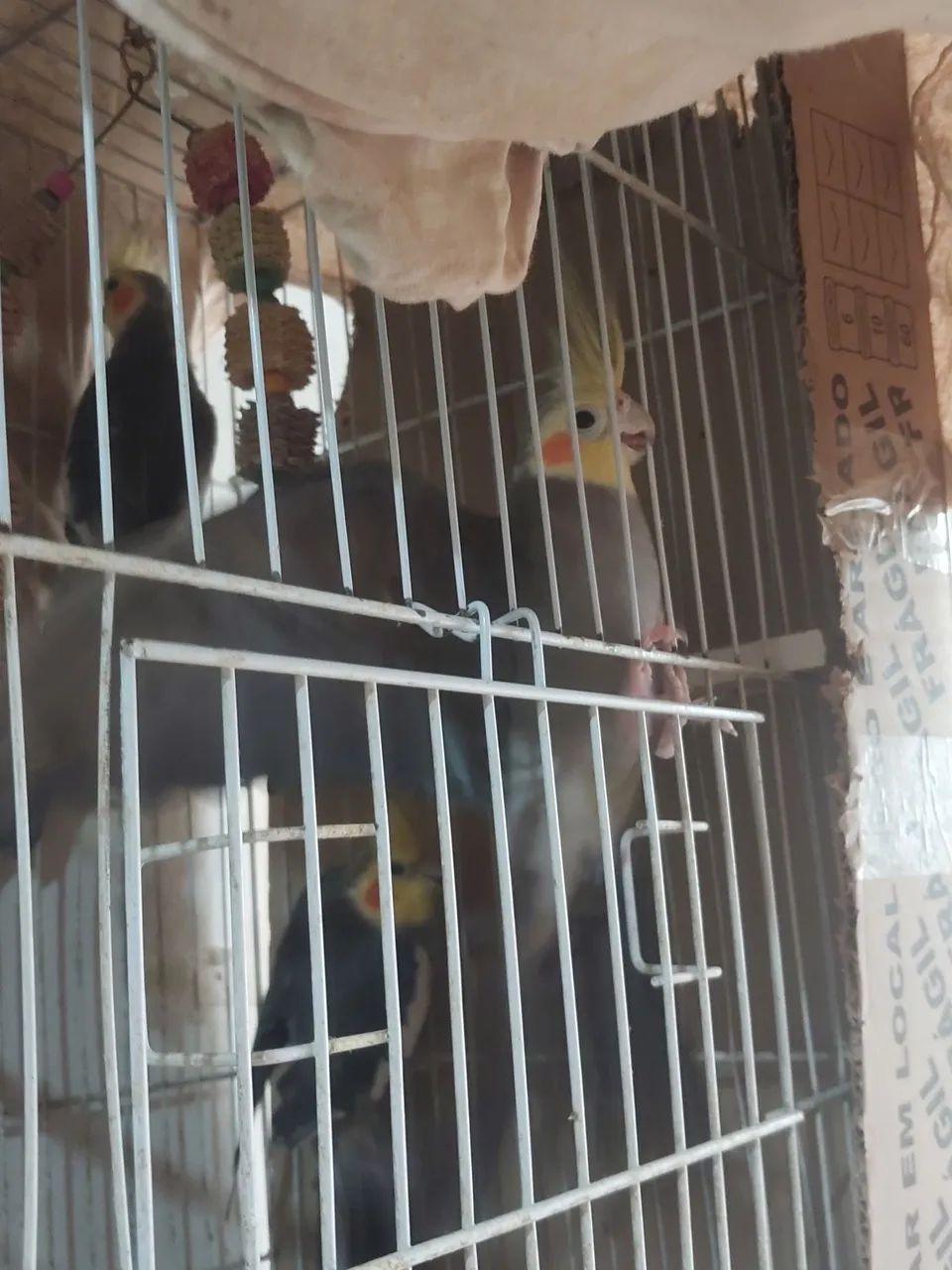 Vendo - Foto 3