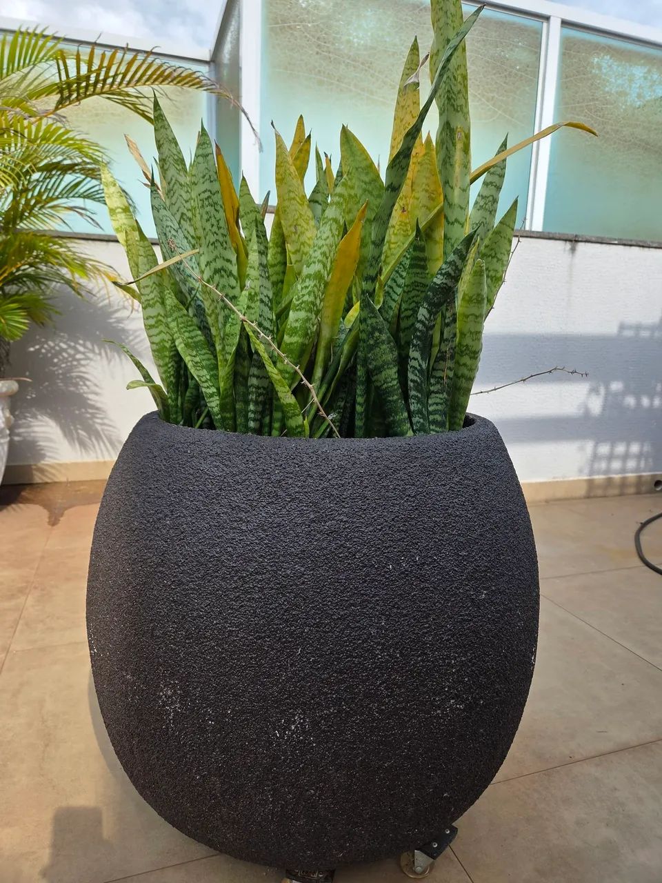 Vasos área externa 