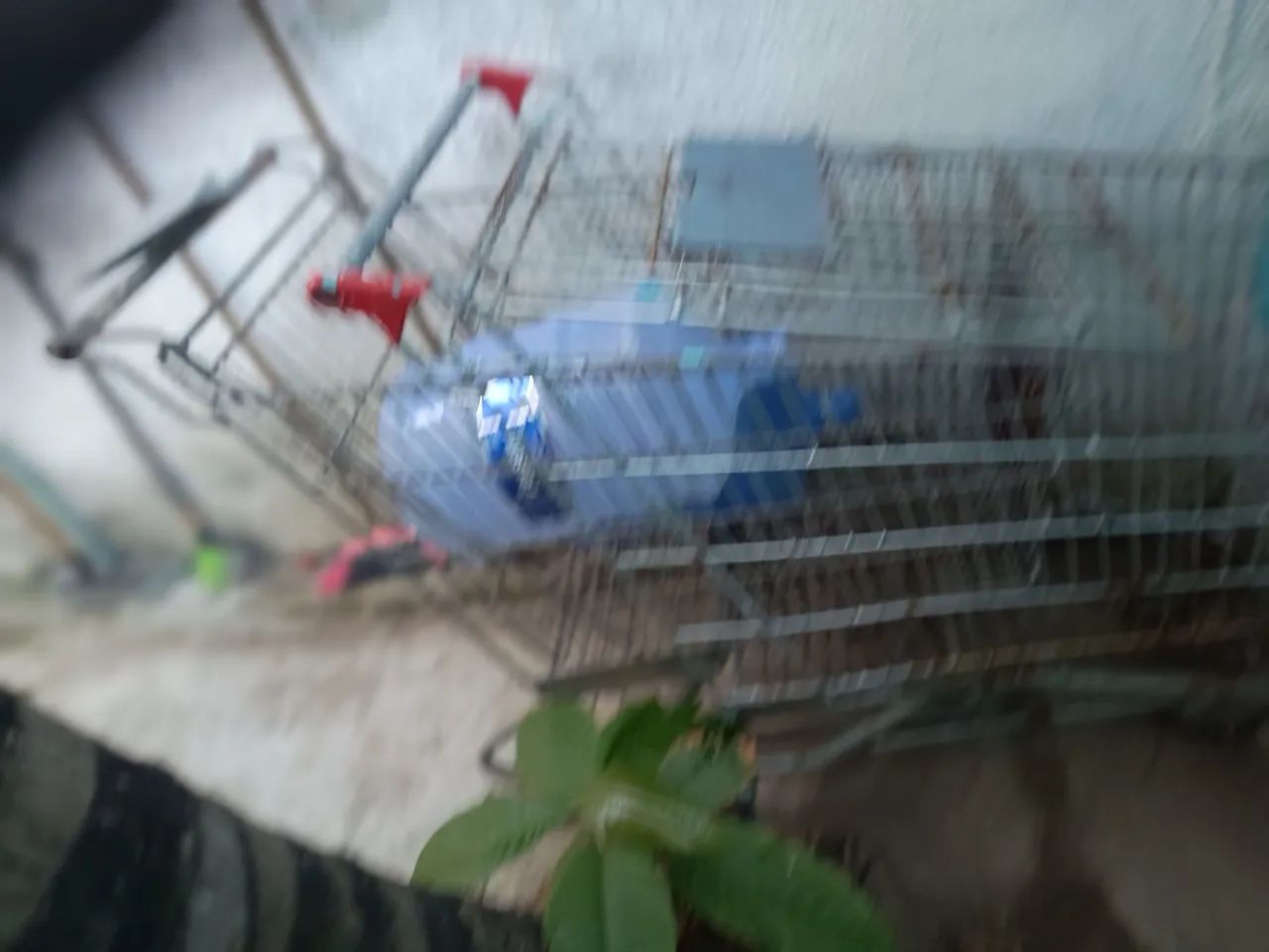 Carrinho de mercado  - Foto 3