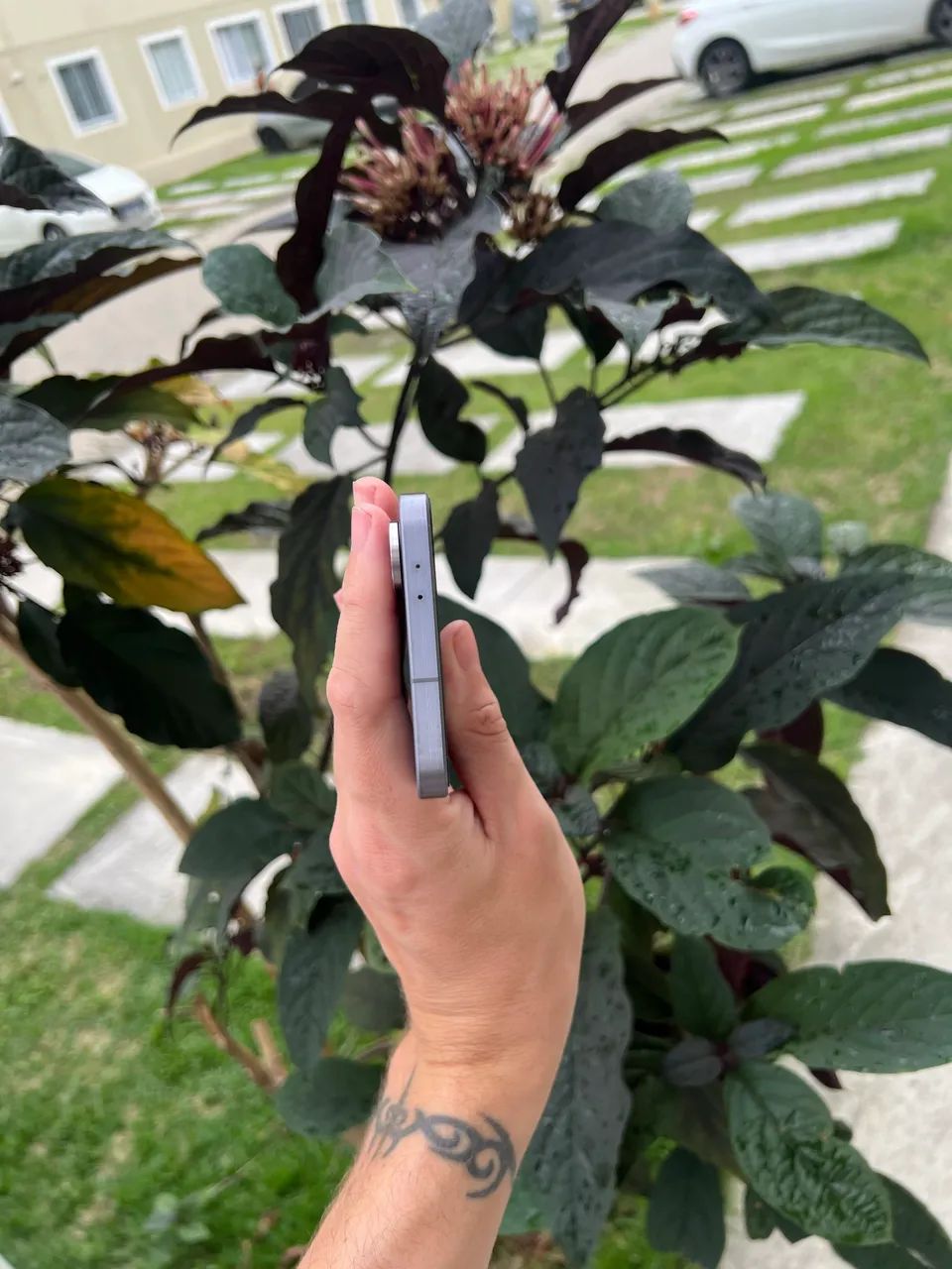 Galaxy A56 - Foto 2