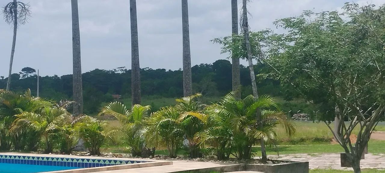 LOTE COMERCIAL - Foto 5