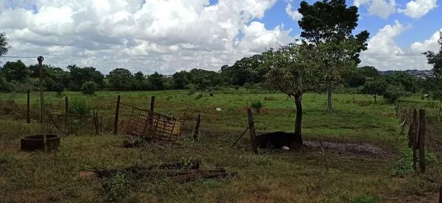 Chácara 42.000 metros Chácara Recreio Samabaia - Foto 9