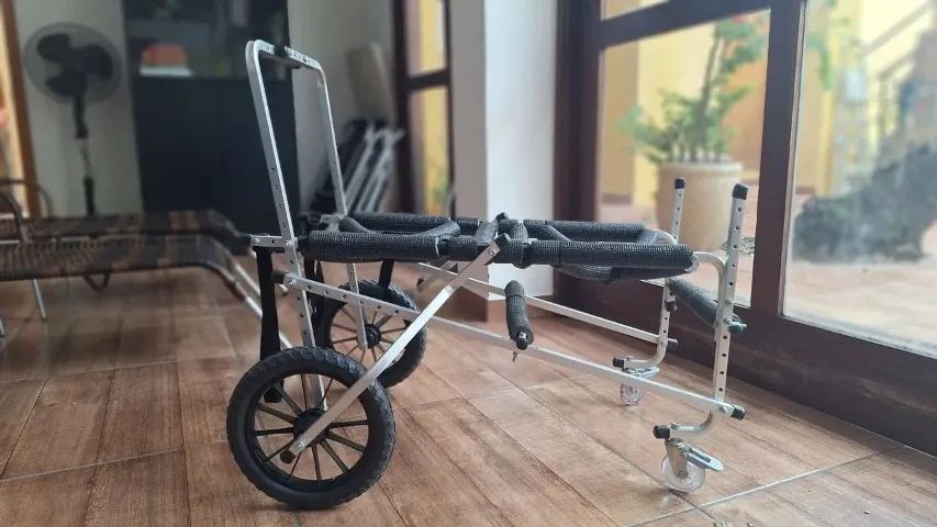 Andador 4 rodas para cão tamanho XG - Foto 3