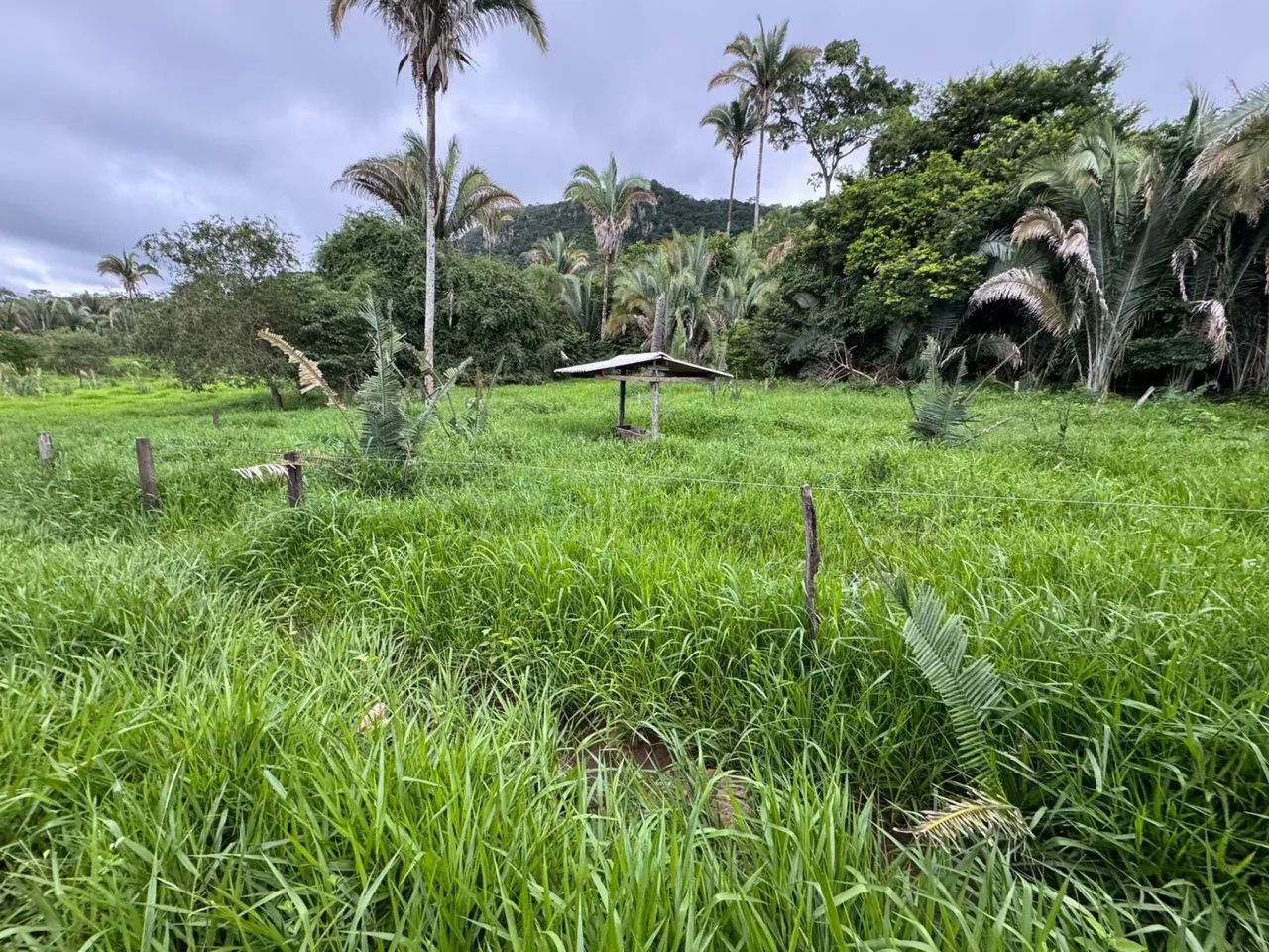 Fazenda de 240 alqueires  - Foto 4