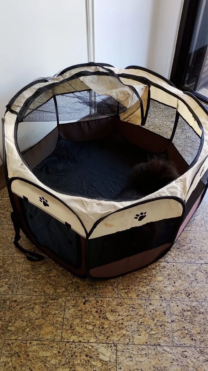 Casinha Pet - Foto 3