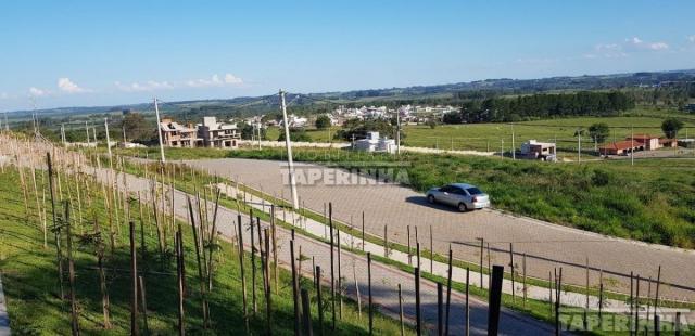 Terreno à venda em Tomazetti, Santa maria cod:10806 - Foto 12