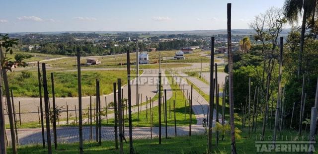 Terreno à venda em Tomazetti, Santa maria cod:10806 - Foto 18
