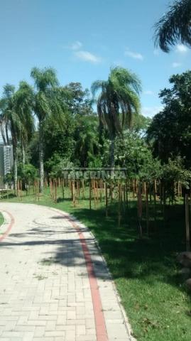 Terreno à venda em Tomazetti, Santa maria cod:10806 - Foto 15
