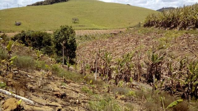 Propriedade de 37 hectares, com 20 hectares de plantio de banana, em Amaraji-PE! - Foto 8