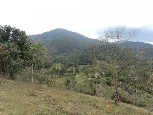 Área rural à venda, Prata dos Aredes, Teresópolis - AR0006. - Foto 13