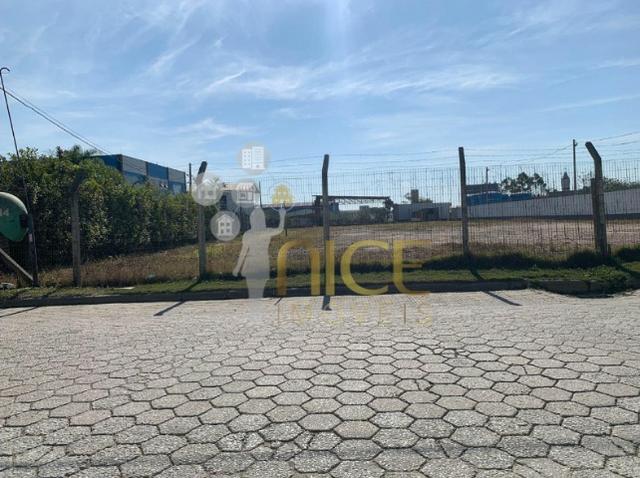 Amplo terreno à 300 metros da BR 101 - Foto 6