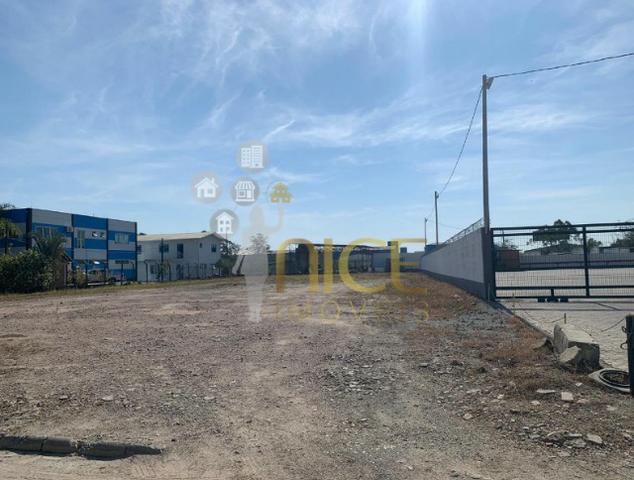 Amplo terreno à 300 metros da BR 101 - Foto 3
