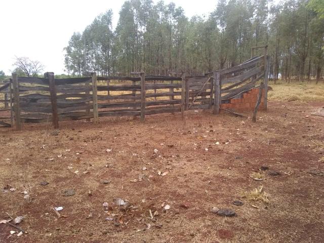 Fazenda Curral do fogo 23 hectares - Foto 2