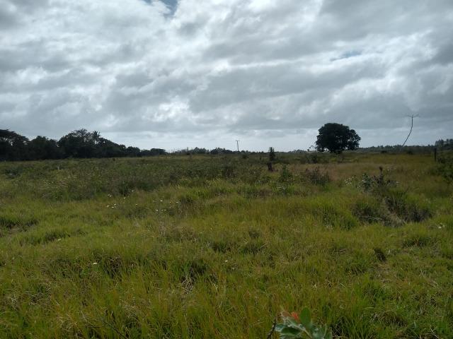 Vende-se terreno próximo a Prado