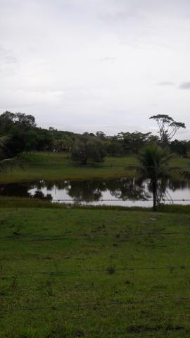 Saquarema - Terreno Madressilva - Rio Seco - 10.139m2 Próximo Km 64 Amaral Peixoto - Foto 8