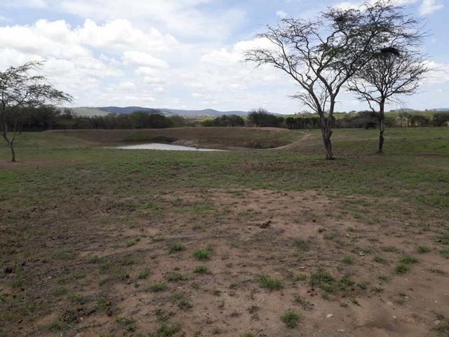 Sítio em Chã Grande, com 10 hectares. Casa sede c/4 qts, sendo 3 suítes, - Foto 19