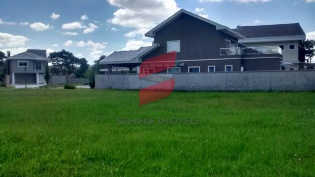 Terreno à venda em Pineville, Pinhais cod:10122-001 - Foto 5