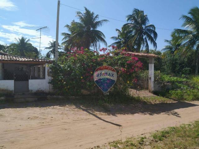 Chácara com 3 dormitórios para alugar, 100 m² por r$ 1.800,00/mês - zona rural - nísia flo - Foto 5