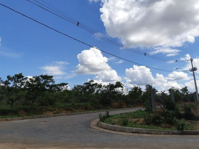 Lotes 1.000m2 | Perto de Lagoa Santa e da Serra do Cipó | Financiamos | AGT - Foto 4