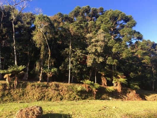 Terreno amplo no belo condomínio Quinta da Serra - Foto 17