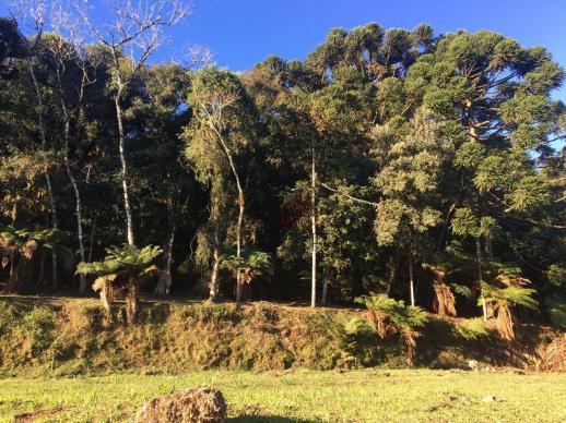 Terreno amplo no belo condomínio Quinta da Serra - Foto 15