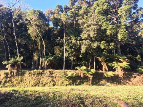 Terreno amplo no belo condomínio Quinta da Serra - Foto 19