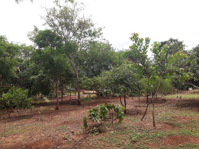 Chácara à venda na estrada para Juramento - Foto 8
