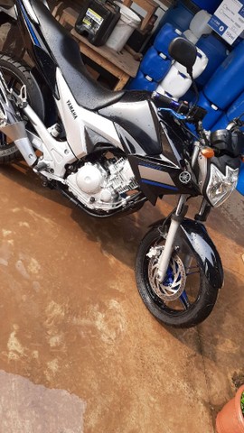 FEZER 250 2014