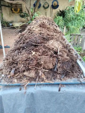 Vendo terra preta. - Foto 2