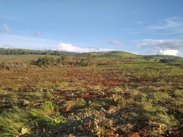Fazenda Sitio Roça Terra a Venda em Porto Nacional Tocantins Pasto Gado Soja Plantação