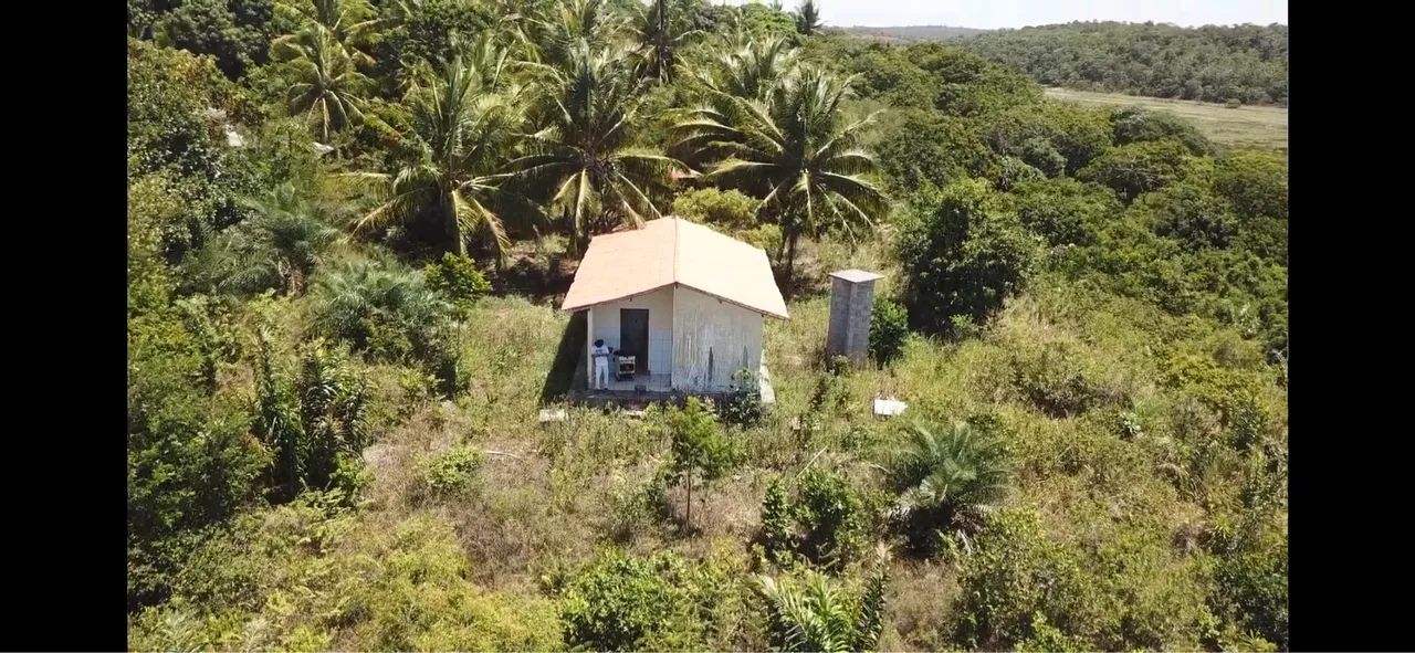 Sítio (litoral norte) 8600/mts2 Arembepe pé Rio - Foto 11