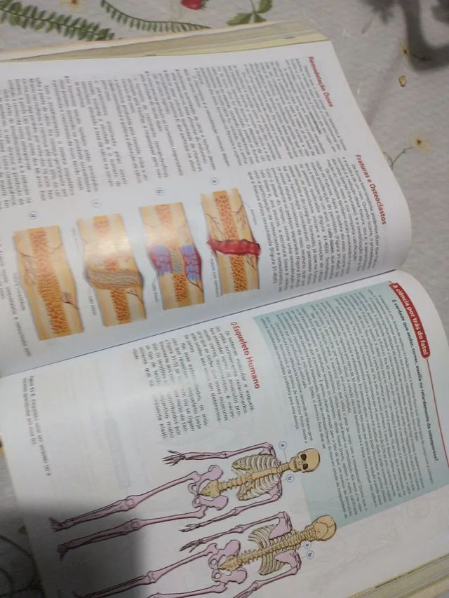 Livro de biologia volume único - Foto 4
