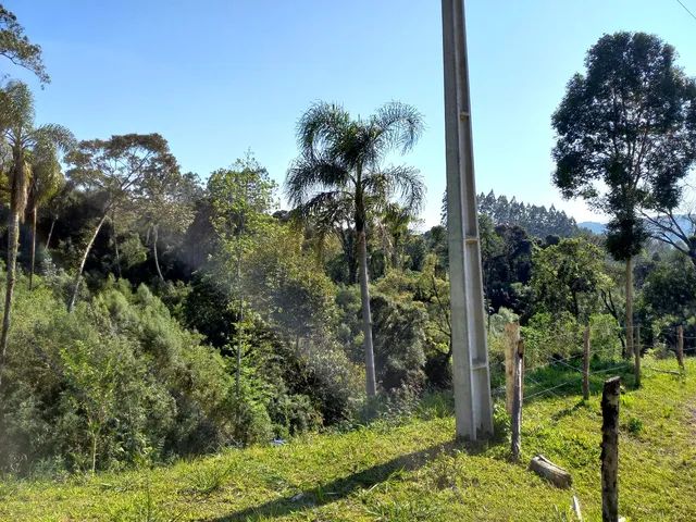 ANITÁPOLIS/SC - Lindo terreno com 6 hectares  - Foto 3