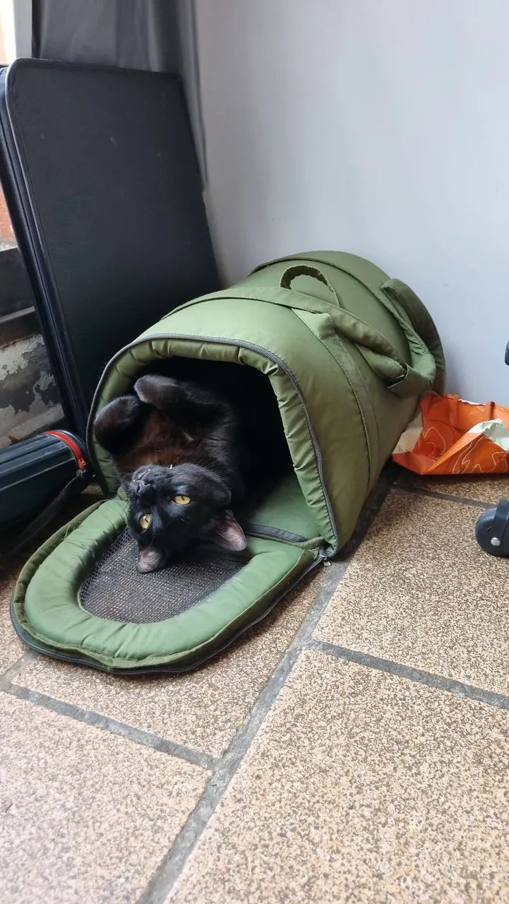 Caixa de Transporte para Gato