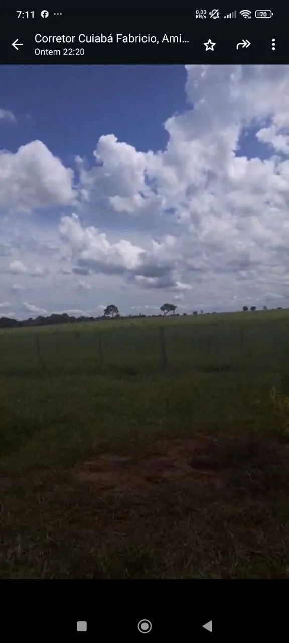 Fazenda arrendamento 4 mil hec em nova alvorada sim MS. - Foto 2