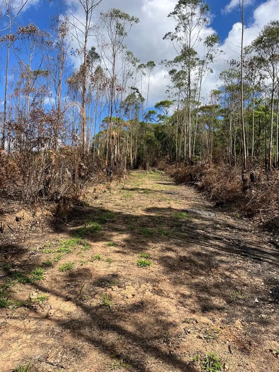 R$ 57.900: Seu Sonho de 1000m² em Ibiúna Começa Agora! - Foto 3