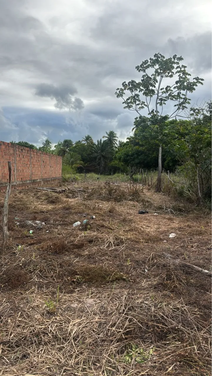 Vendo ótimo terreno na Massagueira 10X30