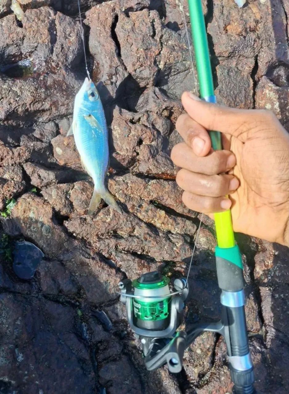 Equipamentos de pesca completo 