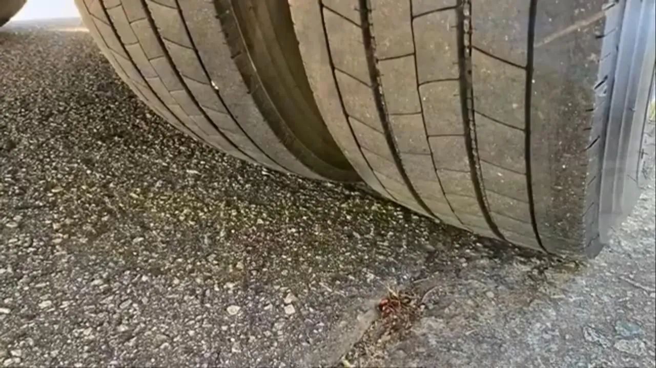 Micro ônibus w9 escolar 27 lg/2013 - Foto 10