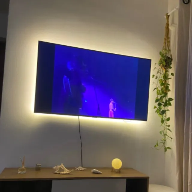 TV SANSUNG 50POL PARA RETIRADA DE PEÇAS 