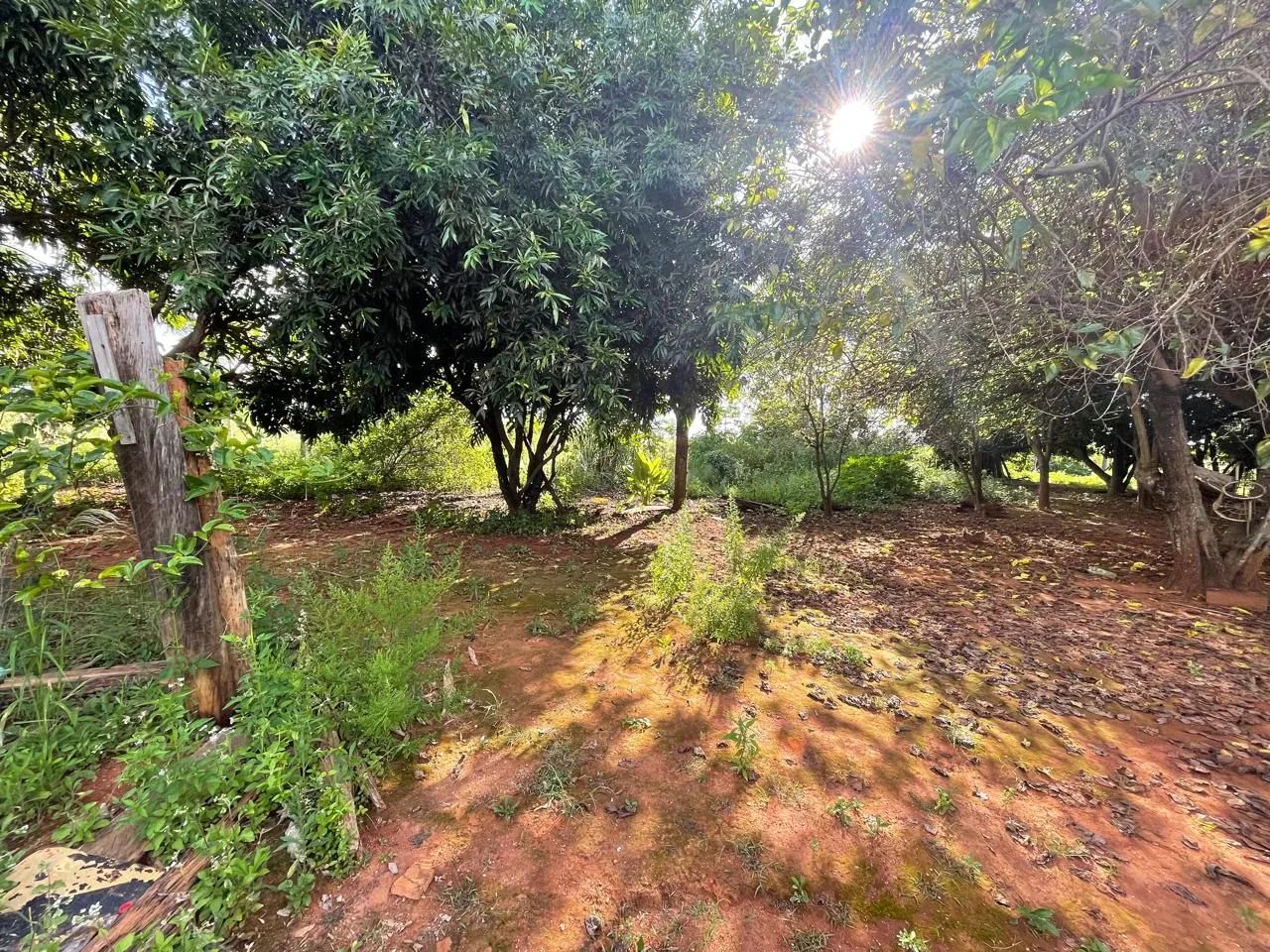Ótima chácara em Itaberaí ( Terra boa) - Foto 2